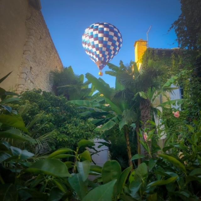 L'Hotel Particulier Guilhon เลคตูร์ ภายนอก รูปภาพ